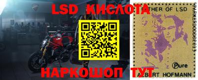 Альфа ПВП Сланцы