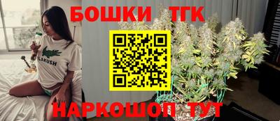 Альфа ПВП Сланцы