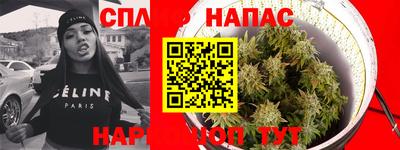 каннабис Славгород
