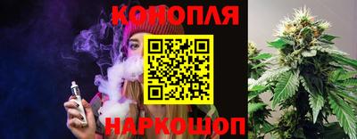 Альфа ПВП Сланцы