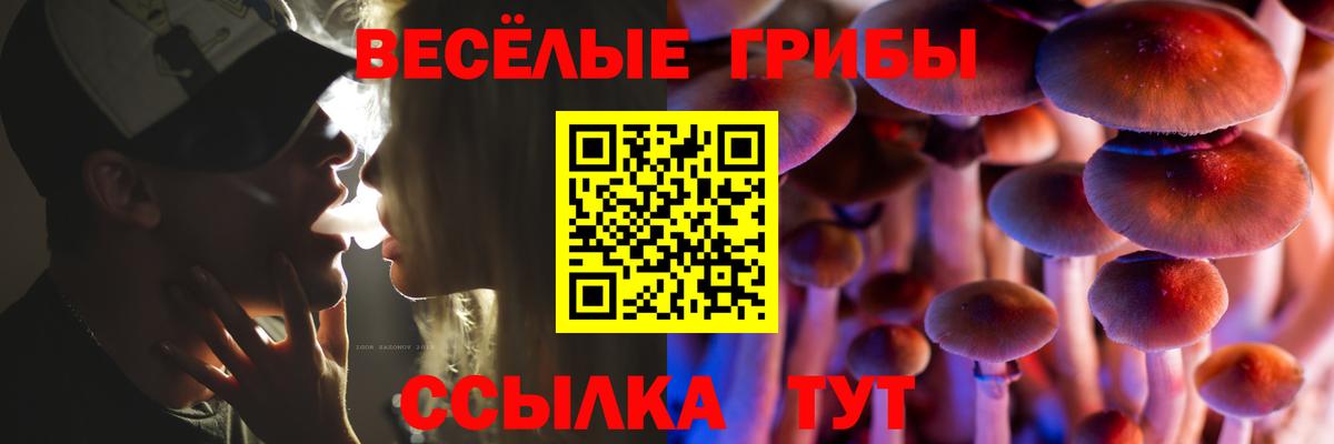 Сыктывкар  Псилоцибиновые грибы GOLDEN TEACHER  Вход с VPN 